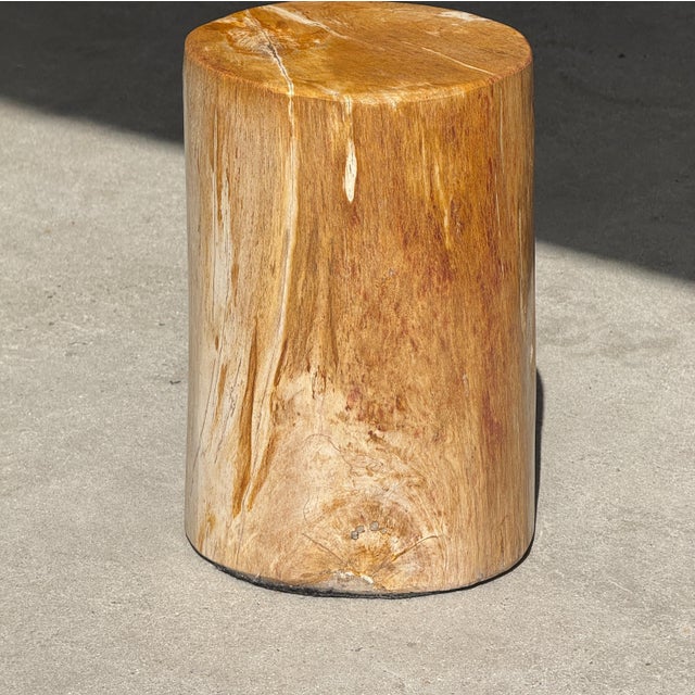 Small Side Table in Orange Petrified Wood, 1980s For Sale - Image 18 of 18