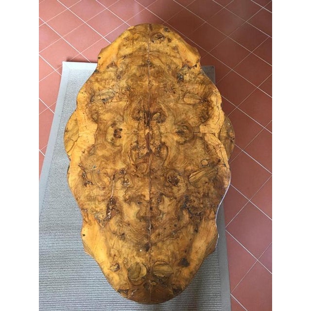 18th Century Regency Walnut Briar Root Oval Side Table, Italy, 1750 For Sale - Image 3 of 17