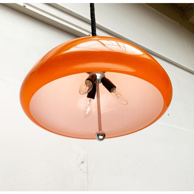 Space Age Cabras Pendant Lamp by Luigi Massoni for Guzzini, 1960s For Sale - Image 9 of 18