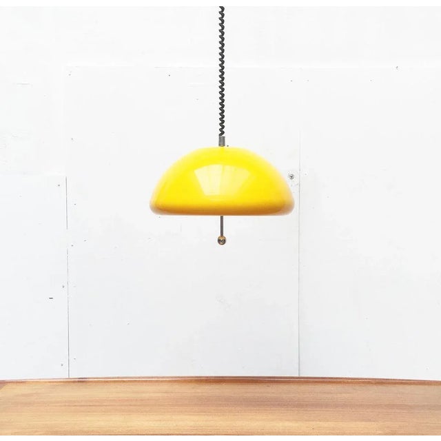 Space Age Cabras Pendant Lamp by Luigi Massoni for Guzzini For Sale - Image 12 of 18