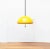 Space Age Cabras Pendant Lamp by Luigi Massoni for Guzzini For Sale - Image 12 of 18