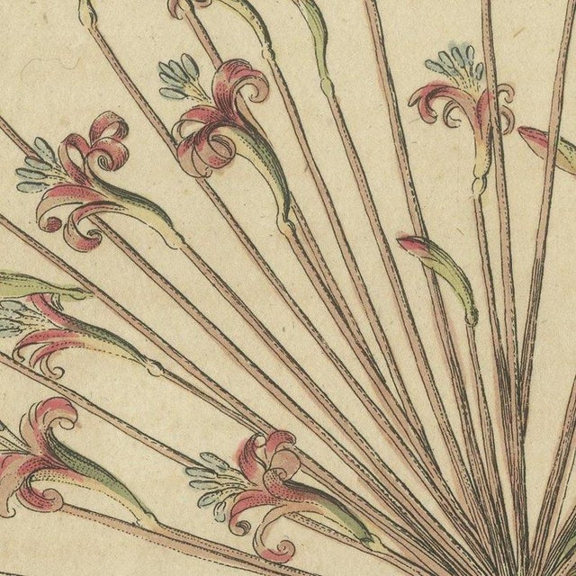 Paper Bertuch, Brunsvigia Candelabra Lily Flower Head, 1815, Print For Sale - Image 7 of 12