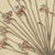 Paper Bertuch, Brunsvigia Candelabra Lily Flower Head, 1815, Print For Sale - Image 7 of 12