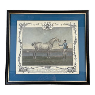 Vintage Engraved Equestrian Framed Print by James Seymour For Sale