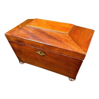 Regency Mahogany Sarcophagus form Tea Caddy For Sale