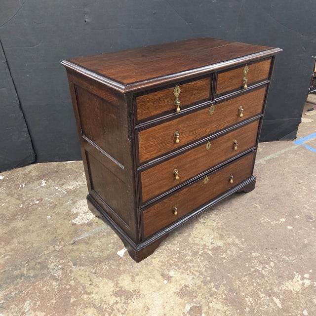 Late 19th Century Georgian 5 Drawer Oak Chest With Dark Cherry Banding With Brass Drop Pulls and Ecustions For Sale - Image 9 of 13