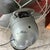 Vintage Emerson Electric 16" Oscillating Metal Desk Fan Fully Functional For Sale - Image 16 of 17