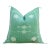 Sage Star Cactus Silk Moroccan Pillow For Sale