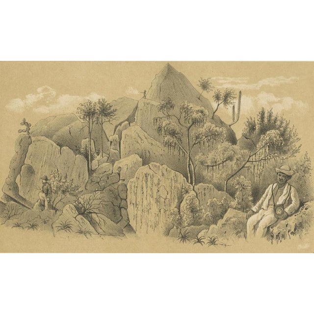 Late 19th Century Antique Landscape Illustration of Christoffelberg Curaçao Summit Ascent, 1888 For Sale - Image 5 of 10