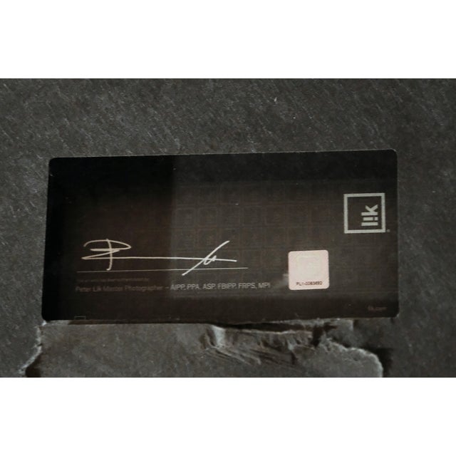 Mid-Century Modern Peter Lik "The Boss" B-52 Bomber Very Limited Edition Hand Signed & Numbered 195/200 Frameless Free Shipping For Sale - Image 3 of 4