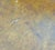 Mid Century Italian Gilt Wood and Birds Eye Maple Side Table For Sale - Image 11 of 11