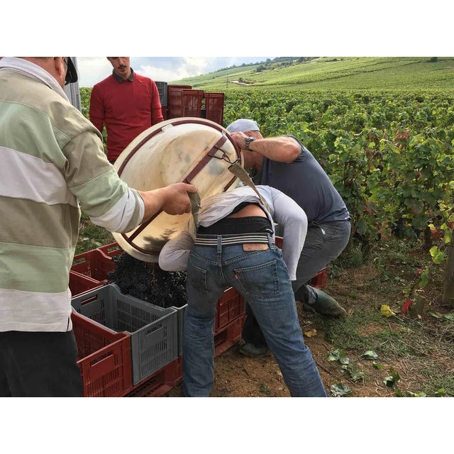Manual harvest, photographic paper printed on matt pearl. Excellent condition.