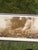 American Panoramic Photo of San Francisco Fire April 16, 1908 For Sale - Image 3 of 7