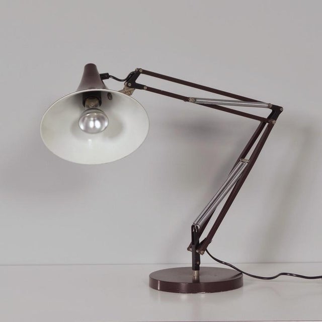 Brown Desk Lamp with Adjustable Arm and Tulip-Shaped Shade from Hala, 1970s For Sale - Image 9 of 12