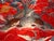 Red Red Silk Chinese Embroidery of a Dragon 19 Century For Sale - Image 8 of 15