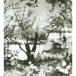 Sample - Jean Paul Gaultier for The House of Scalamandr�� Brume Wallcovering, Ecru/Noir For Sale