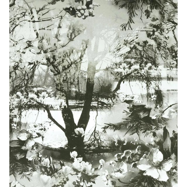 Sample - Jean Paul Gaultier for The House of Scalamandr�� Brume Wallcovering, Ecru/Noir For Sale