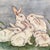 The Gathering print by Grace Feyouck. Print is signed by the artist and number 465/1000. Depicts a group of white bunnies...