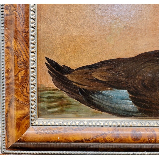 19th Century 19th Century Study of a Colorful Goose Oil Painting For Sale - Image 5 of 8