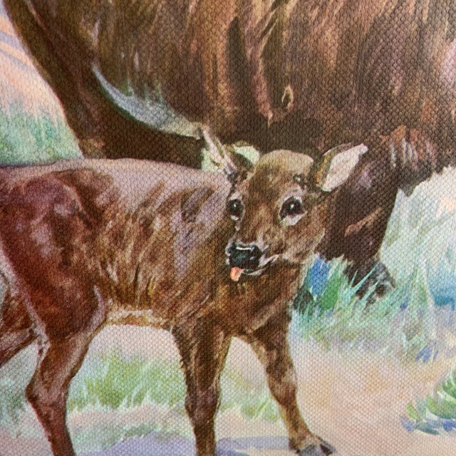 1937 book illustration by noted animal and wildlife painter, Diana Thorne. This one is of a Bison with calf. On nicely...