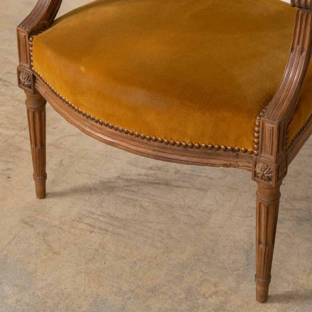 1920s French Louis XVI Style Armchair For Sale - Image 12 of 12