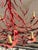 Vintage Coastal Coral Branch Chandelier For Sale - Image 4 of 12