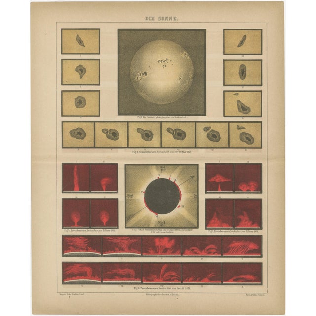 Antique Solar Study Chart, 1890s For Sale - Image 9 of 9