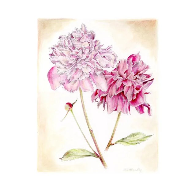 Vintage Style Floral, Peonies Original Mixed Media Drawing by Kathleen Ney For Sale In Seattle - Image 6 of 9