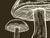 Two 16 x 20 fine Art prints mushrooms dark brown colorway Graphics by us