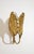 Metal Brass Wall Lamps by Tommaso Barbi for G&G Studio, Italy, 1960s, Set of 2 For Sale - Image 7 of 16