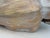 Vintage Oversized Hand-Painted Oversized Conch Shell Sculpture For Sale - Image 12 of 12