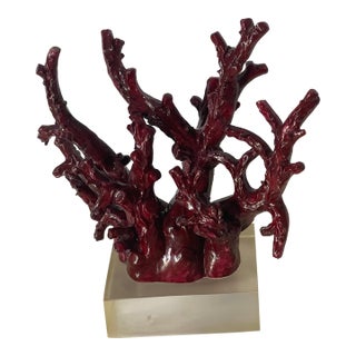 Faux Coral on Lucite Mid Century Coastal Sculpture For Sale
