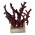 Faux Coral on Lucite Mid Century Coastal Sculpture For Sale