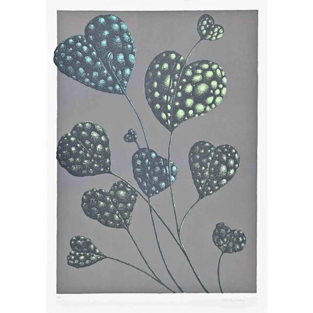 Modern Renzo Margonari, Fioritura Del Tuttocuore, Lithograph, 1976 For Sale - Image 3 of 3