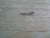 Vintage Salmon Serving Trencher Board Wood Cast Aluminum Head and Tail Winsome Wood For Sale - Image 9 of 11