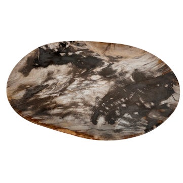 Very Large Vide-Poche or Dish in Petrified Wood For Sale