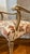 Ivory Set of 6 Vintage Louis XVI Dining Chairs in Premium Tapestry Jacquard Fabric For Sale - Image 8 of 12