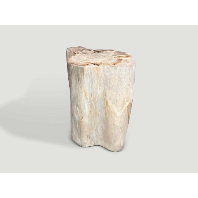 Andrianna Shamaris Impressive High Quality Ancient Petrified Wood Side Table For Sale In New York - Image 6 of 7