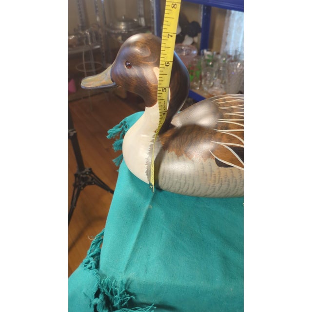 21" Big Sky Carvers Pintail - Signed Sally McMurray - Exhibition Size For Sale - Image 4 of 5