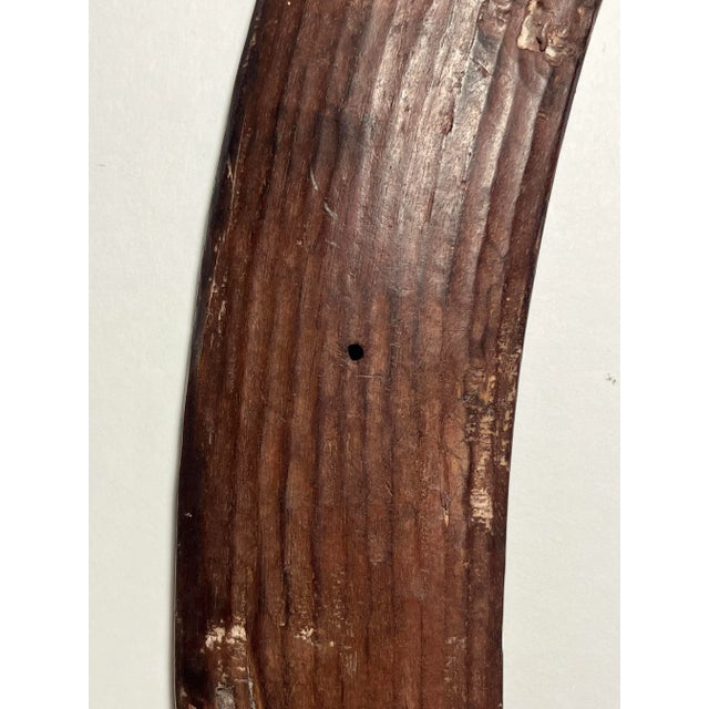 Antique Central Australia Aboriginal Hand Carved Wood Fluted Hunting Boomerang For Sale In Los Angeles - Image 6 of 8