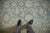 :: Covered field in cartouche-like Herati inspired floral cross sections atop an abrashed ground. Colors and shades...