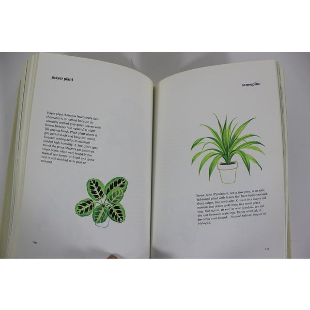 1973 the New York Times Book of House Plants by Joan Lee Faust Book For Sale - Image 4 of 9