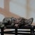 This is a striking vintage Chinese gilt bronze sculpture of a mythical beast, traditionally known as a "Water-Absorbing...