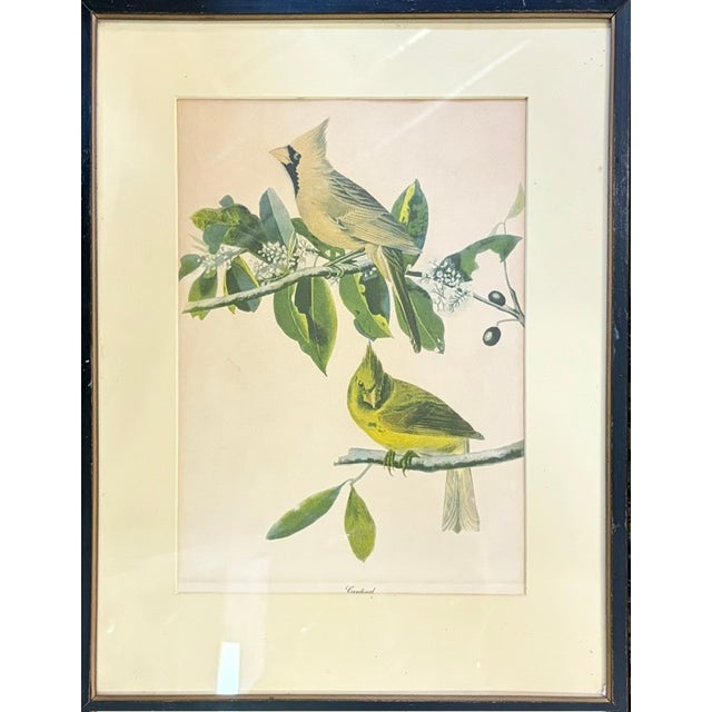 Sculpture Materials Early American, North American Bird Prints, Framed For Sale - Image 7 of 11