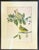 Sculpture Materials Early American, North American Bird Prints, Framed For Sale - Image 7 of 11
