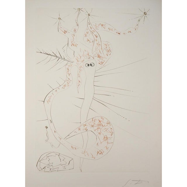 Salvador Dali, Tristan Le Fou, 1970, Original Etching For Sale - Image 8 of 8