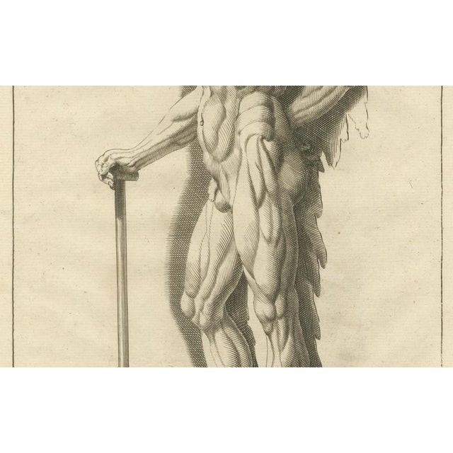 Anatomical Muscle Figure with Shovel, 1745, Paper For Sale - Image 4 of 10