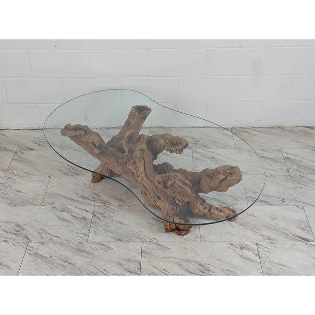 Mid 20th Century Olive Root Driftwood Coffee Table For Sale - Image 12 of 12