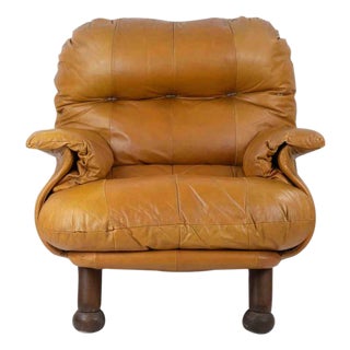 Vintage Leather Armchair by E. Cobianchi for INSA, Italy, 1970s For Sale