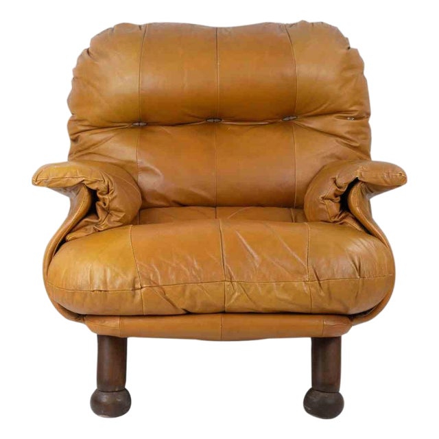 Vintage Leather Armchair by E. Cobianchi for INSA, Italy, 1970s For Sale